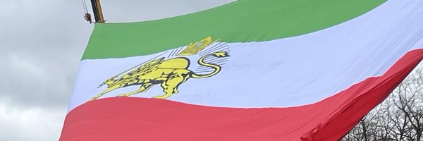 hiimdory_ Profile Banner