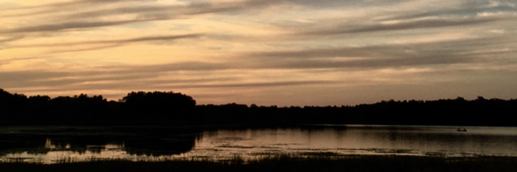 AmyKamenick's profile banner image