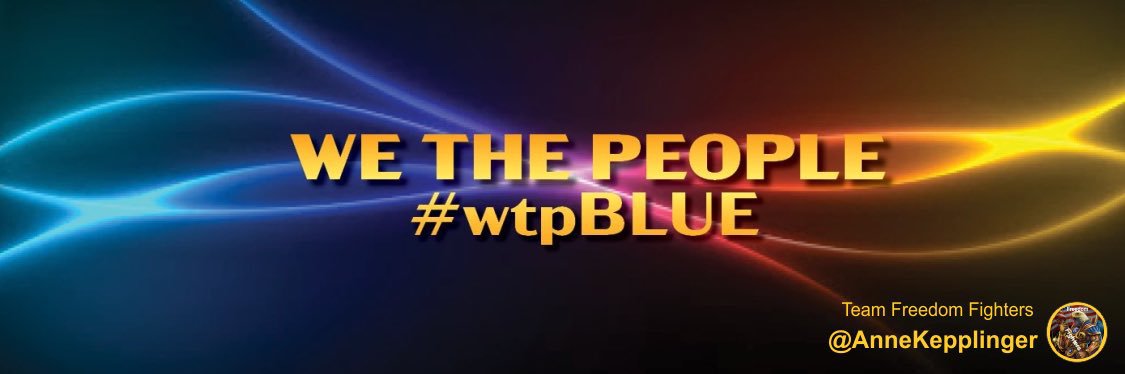Momsresist#WTPblue banner