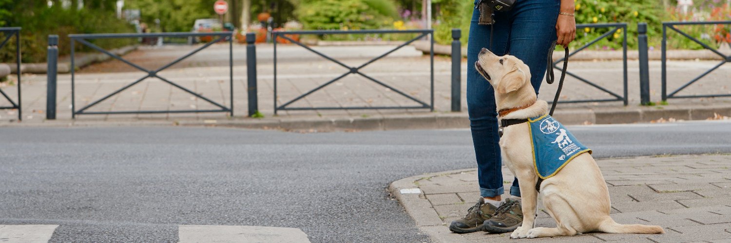 Chiens Guides IDF banner