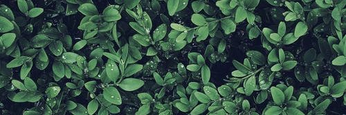 saintdan44's profile banner image