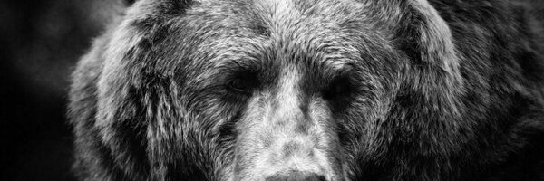 rogex14 Profile Banner