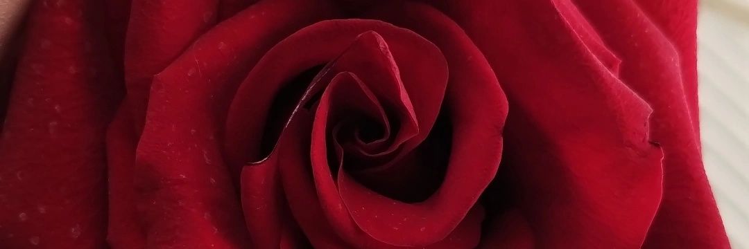 Florenciah10's profile banner image