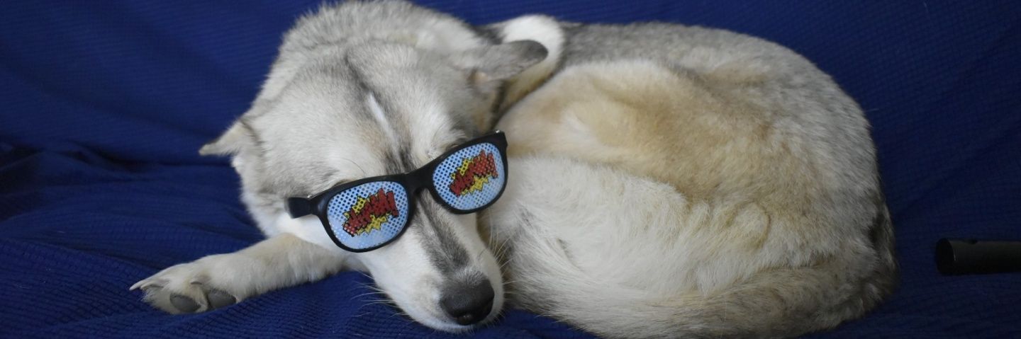 Mocha_Momma's profile banner image