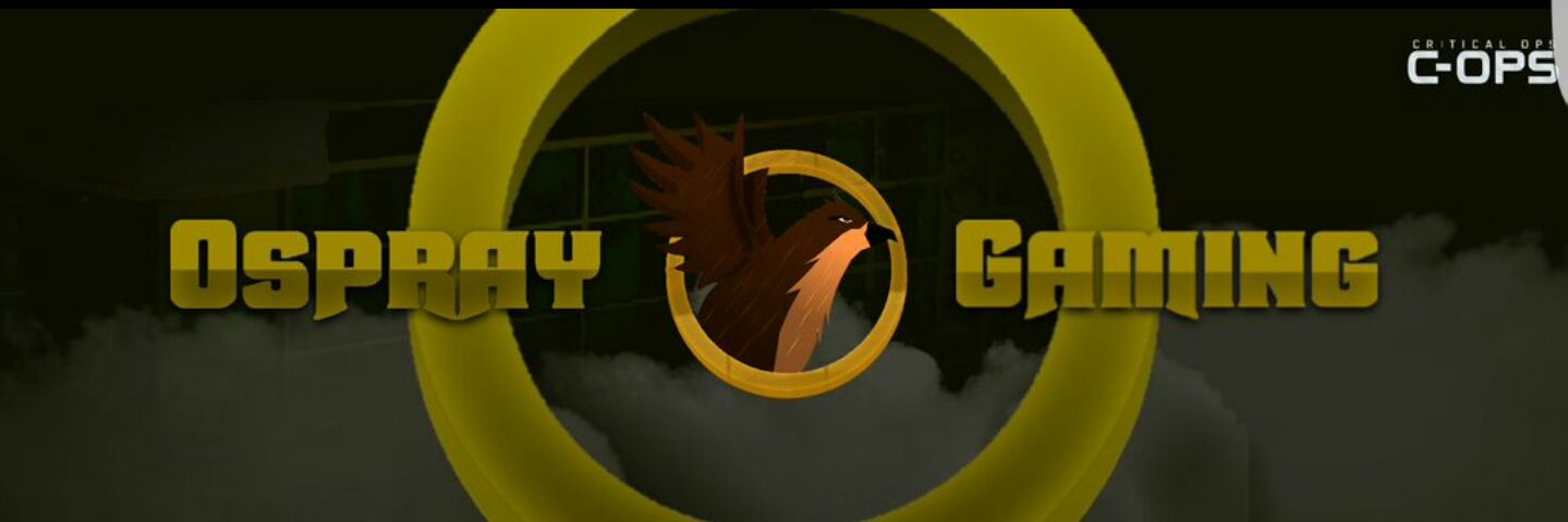 LiLgaming1's profile banner image