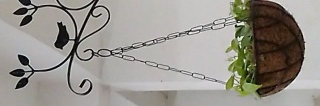 Vaibhav Kr. Singh banner