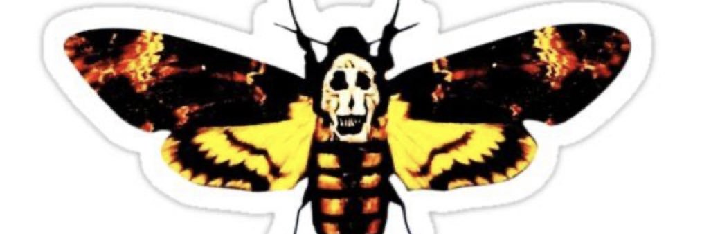 _AlliPrice_'s profile banner image