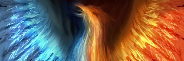 Hasbron Fenix banner