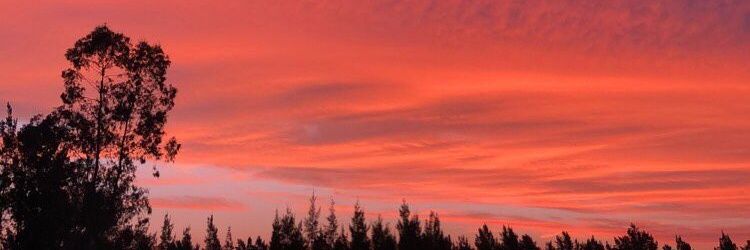 SolanaBras's profile banner image