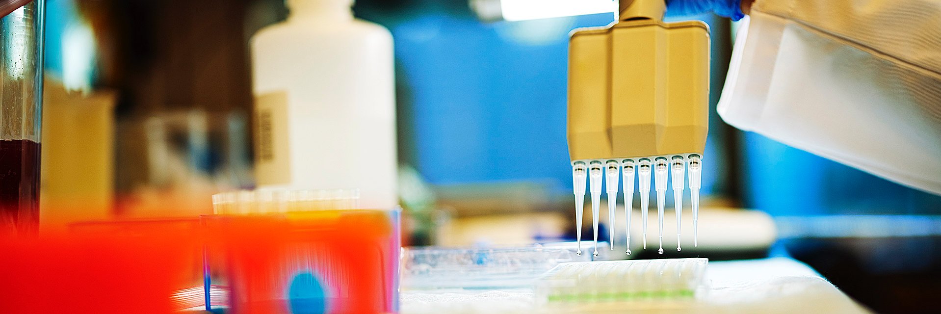 MSK ScienceEducation's banner