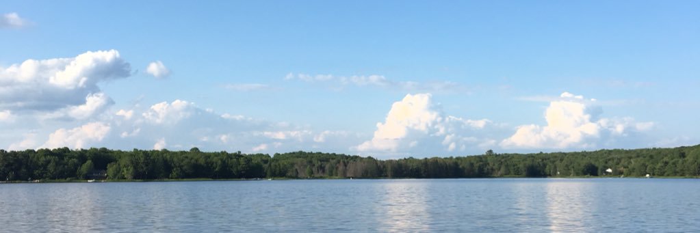 MitziTerzo's profile banner image