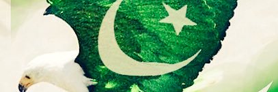 gamecat white tiger banner