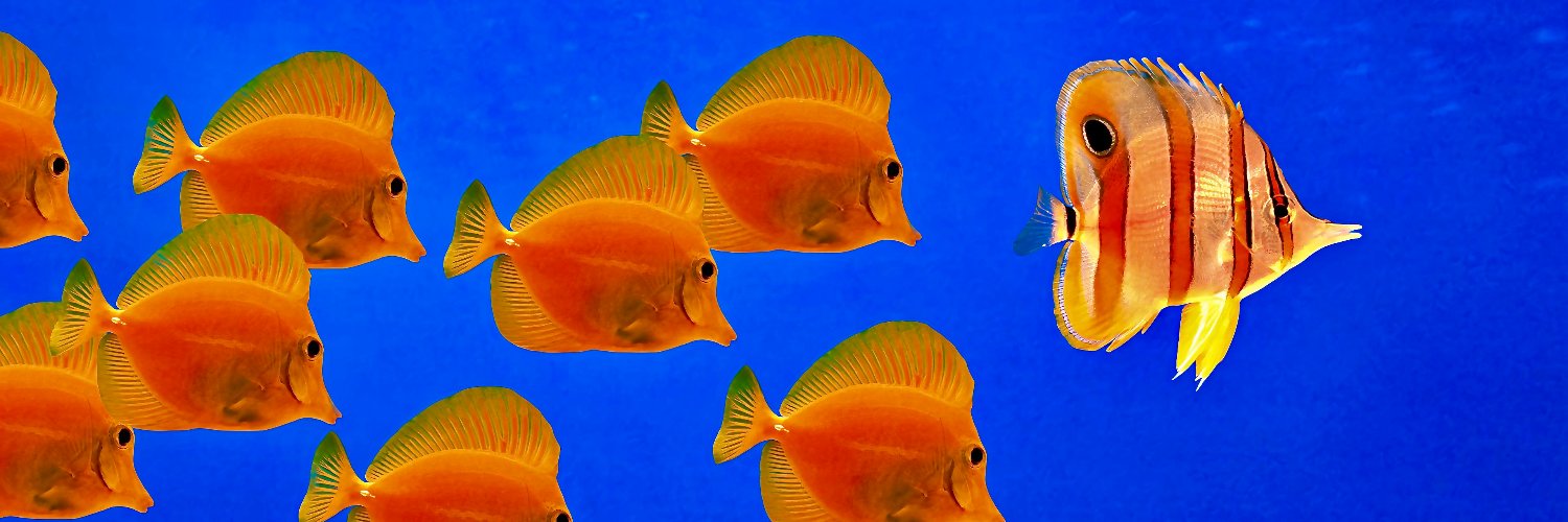 MKMaffo🆖️ - è Occupato. 🟠's banner
