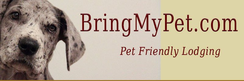 Bring My Pet - https://bringmypet.com banner