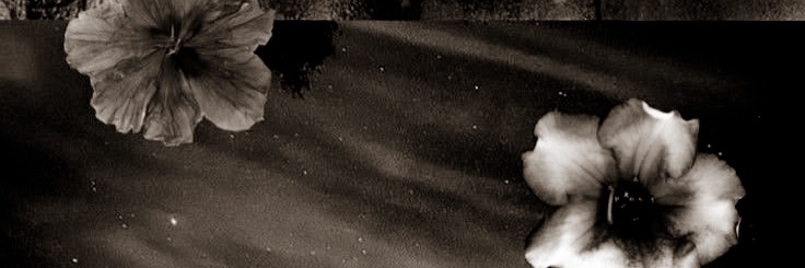 Soeranada's profile banner image