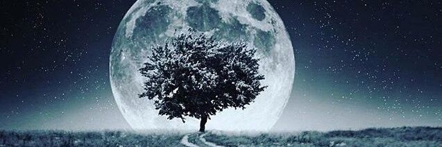 Fadhelpage's profile banner image