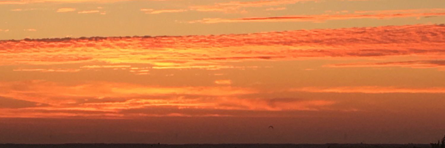 teacherLisa3's profile banner image