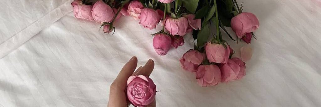 lanosh874's profile banner image