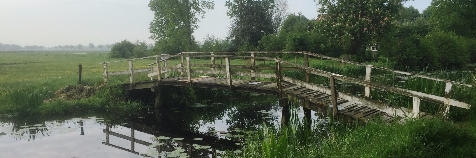 marita de jong banner