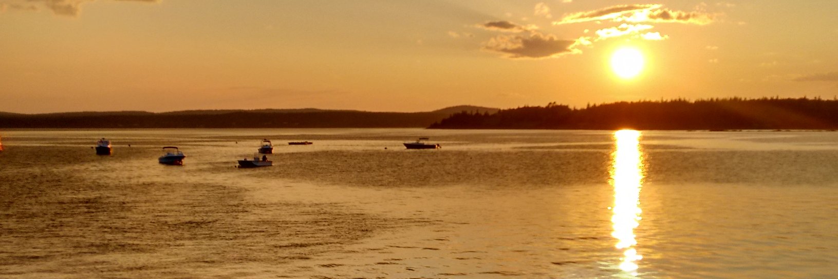 mrsbrennan3's profile banner image