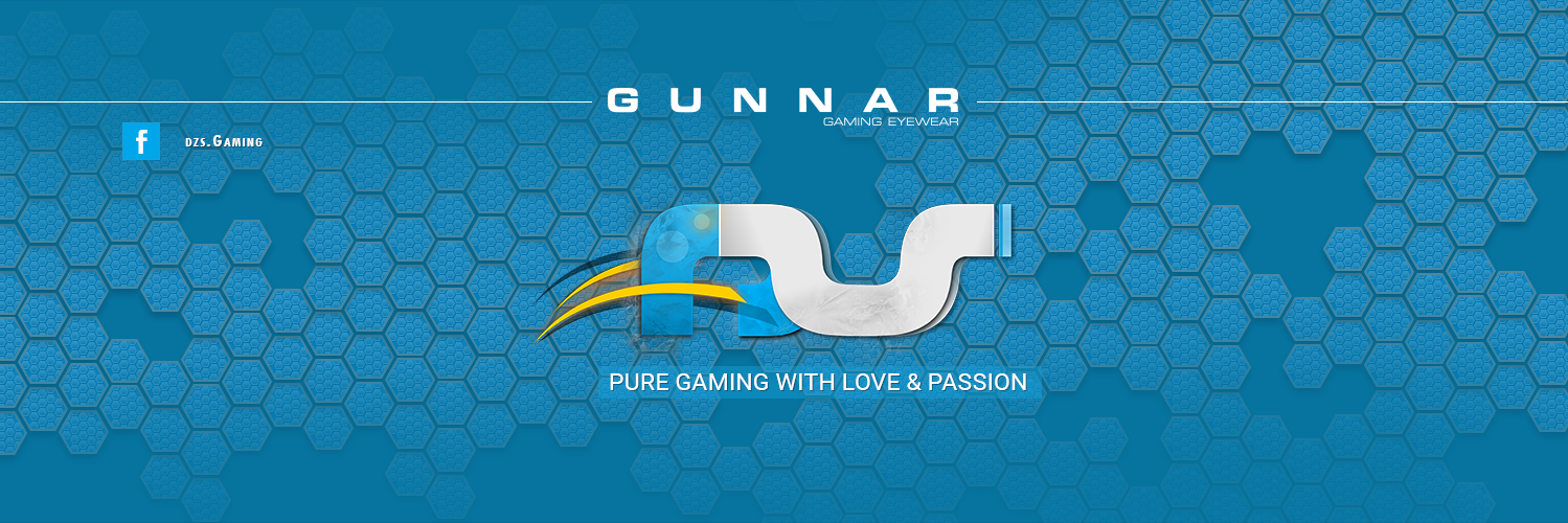 dzs_Gaming's profile banner image