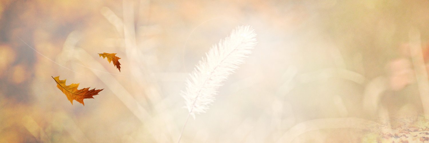 Sidal alka| ETHGas ⛽ banner