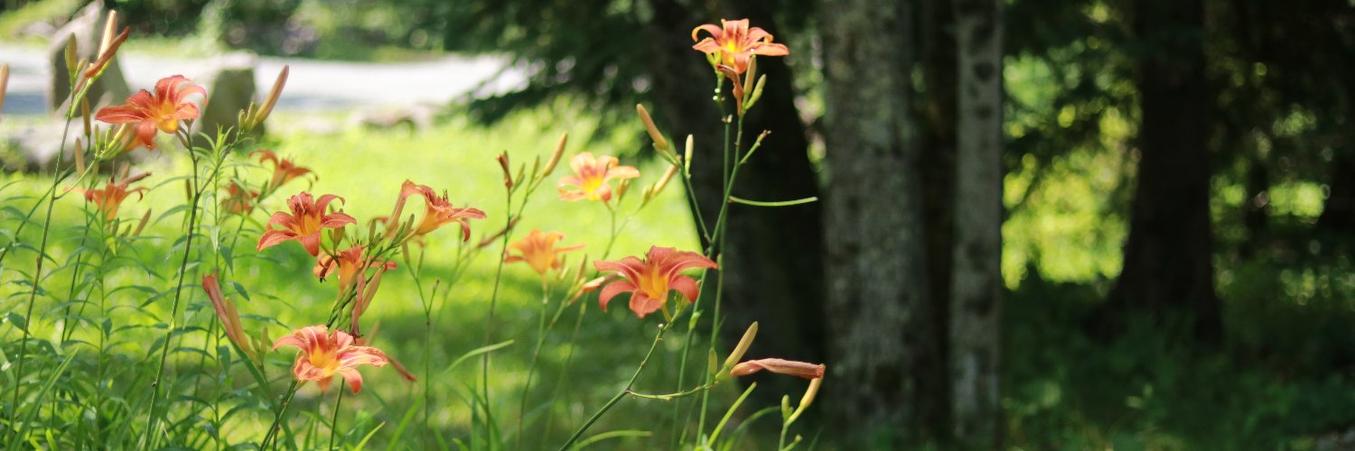 deerashore's profile banner image