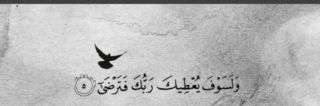 محمد خليفه الطليحان . banner