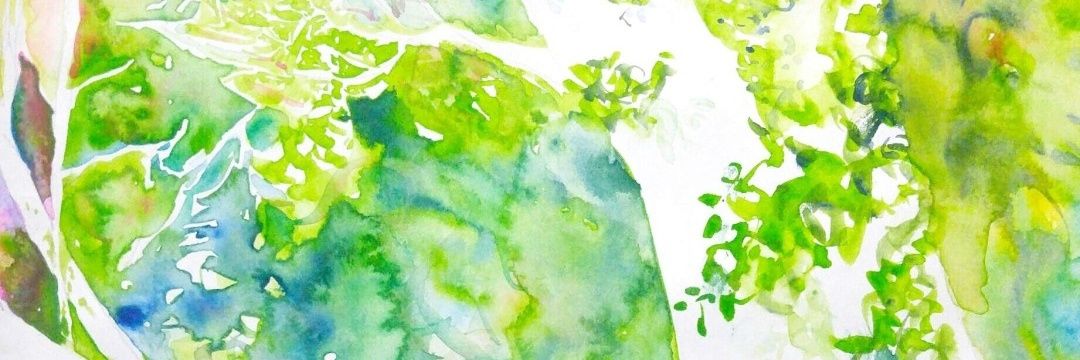colineva2's profile banner image