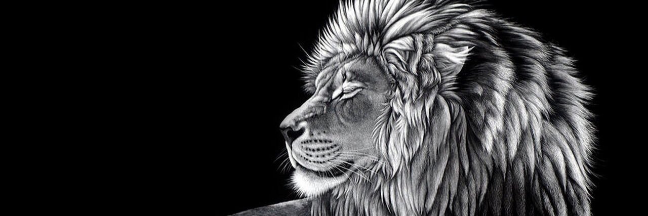 TashfiqAkhand's profile banner image