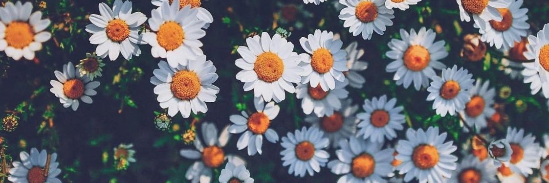 Sofi 🇦🇷✨ banner