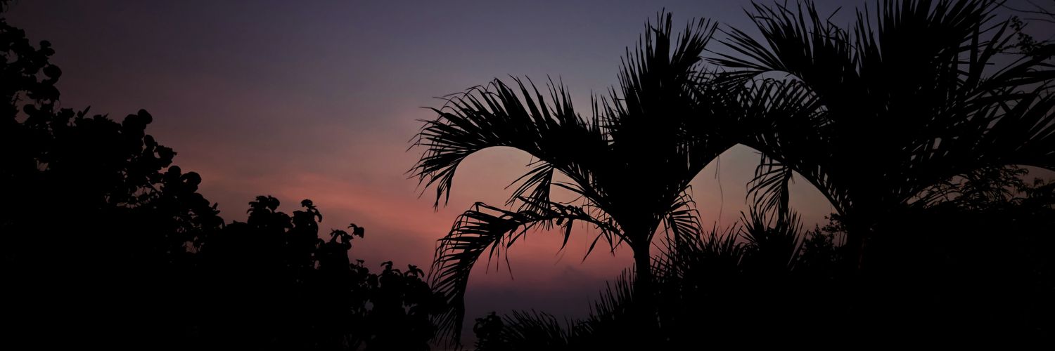 sandykvazquez's profile banner image