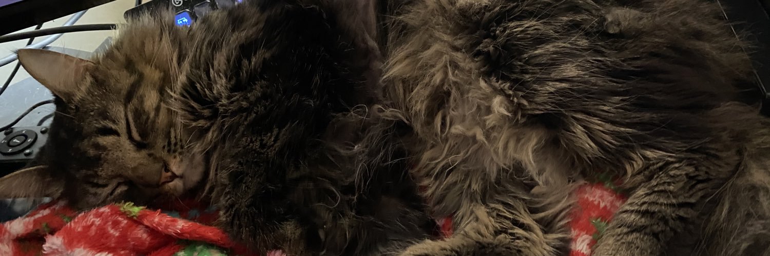 MsCandyOps's profile banner image