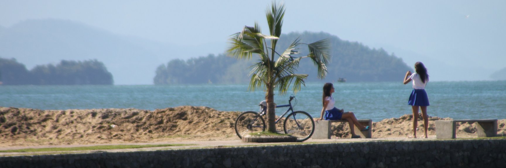 Renunciemos y Vámonos banner