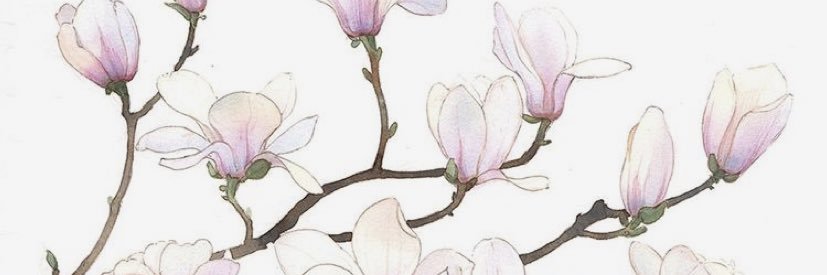 Dina4q's profile banner image