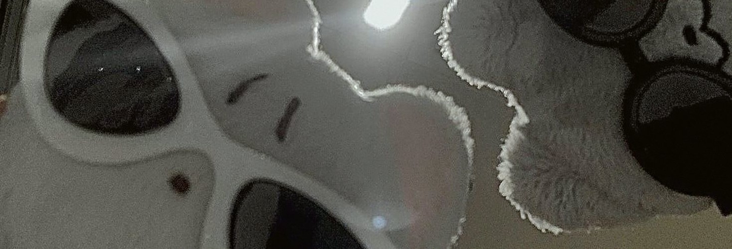 larasndtf's profile banner image