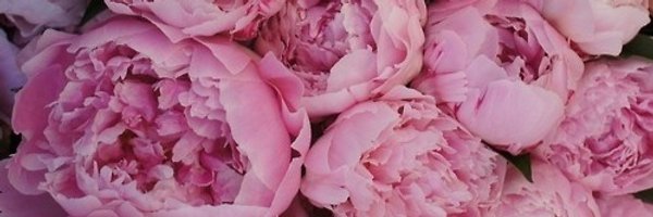 krishnaaberion Profile Banner