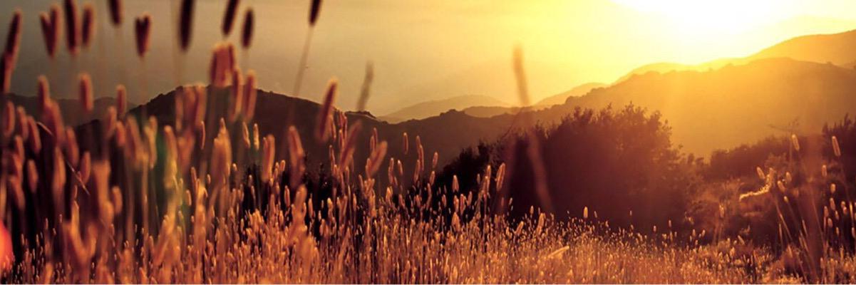 AbrarrXx's profile banner image