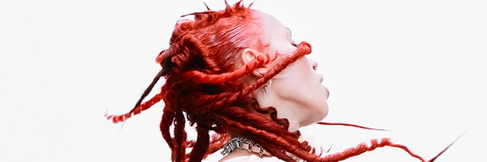 FKA twigs banner