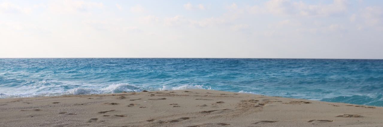 farhaelserogy's profile banner image