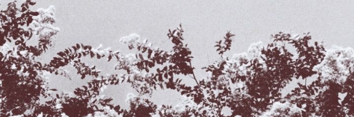 AStreamOfCol0rs's profile banner image