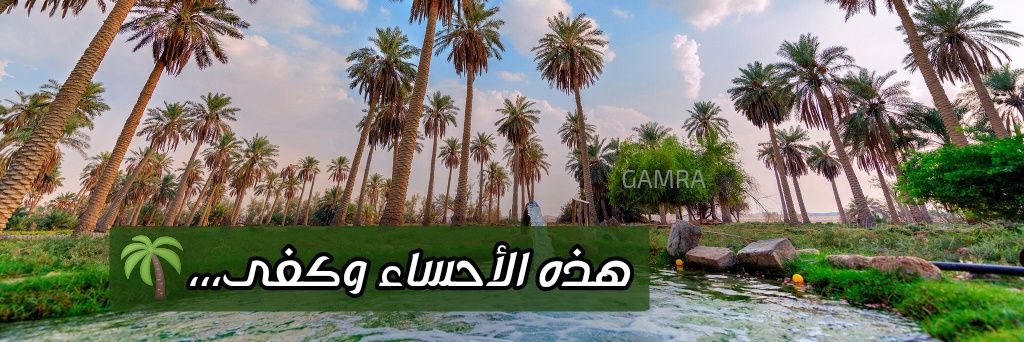 99gamra's profile banner image