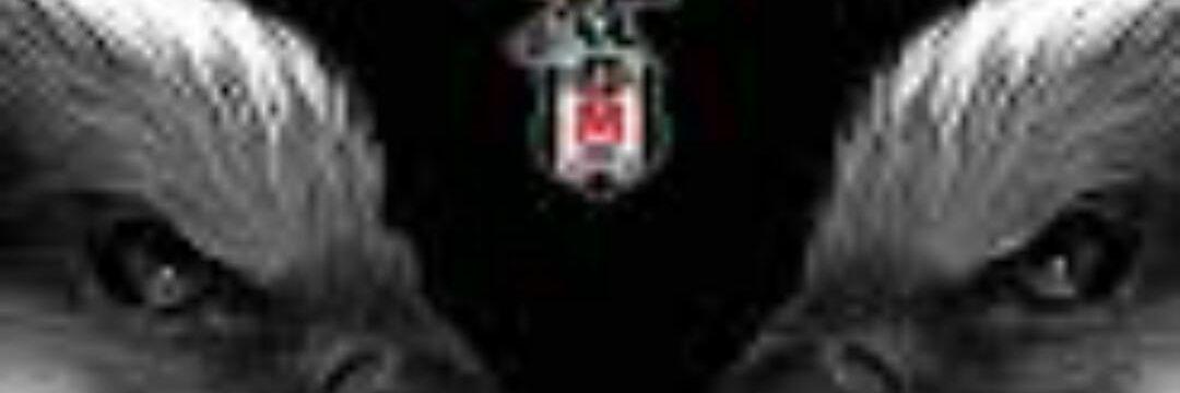 Nevzat JK banner