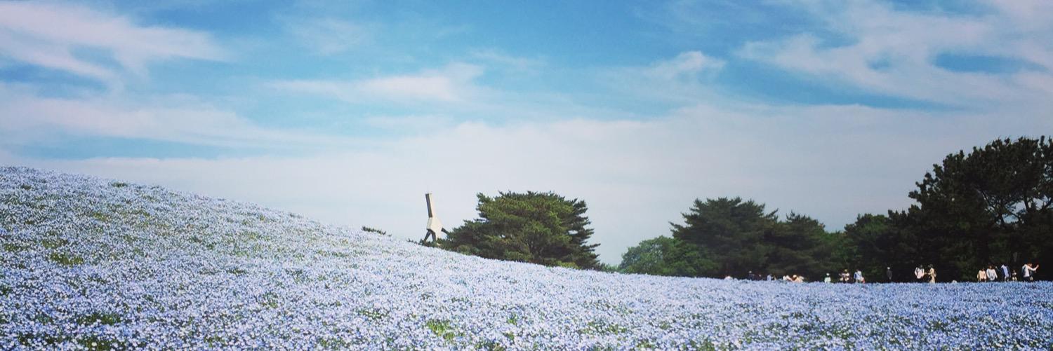 BasuJoyita's profile banner image
