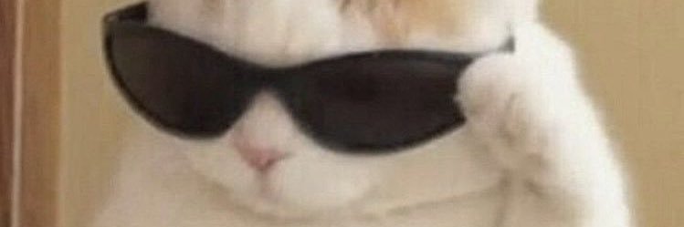 MaryJohnson615's profile banner image