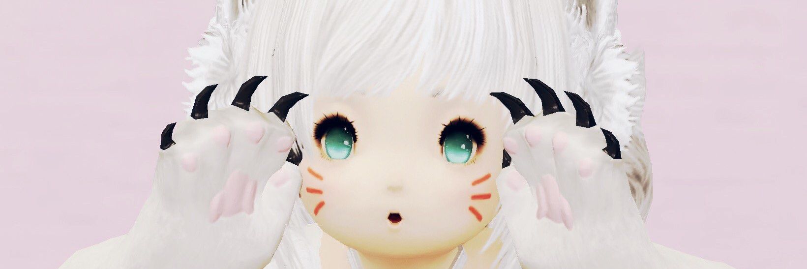 LCC03TEST's profile banner image
