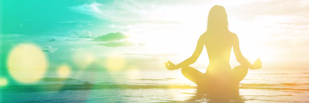 Stephanie Dunn banner