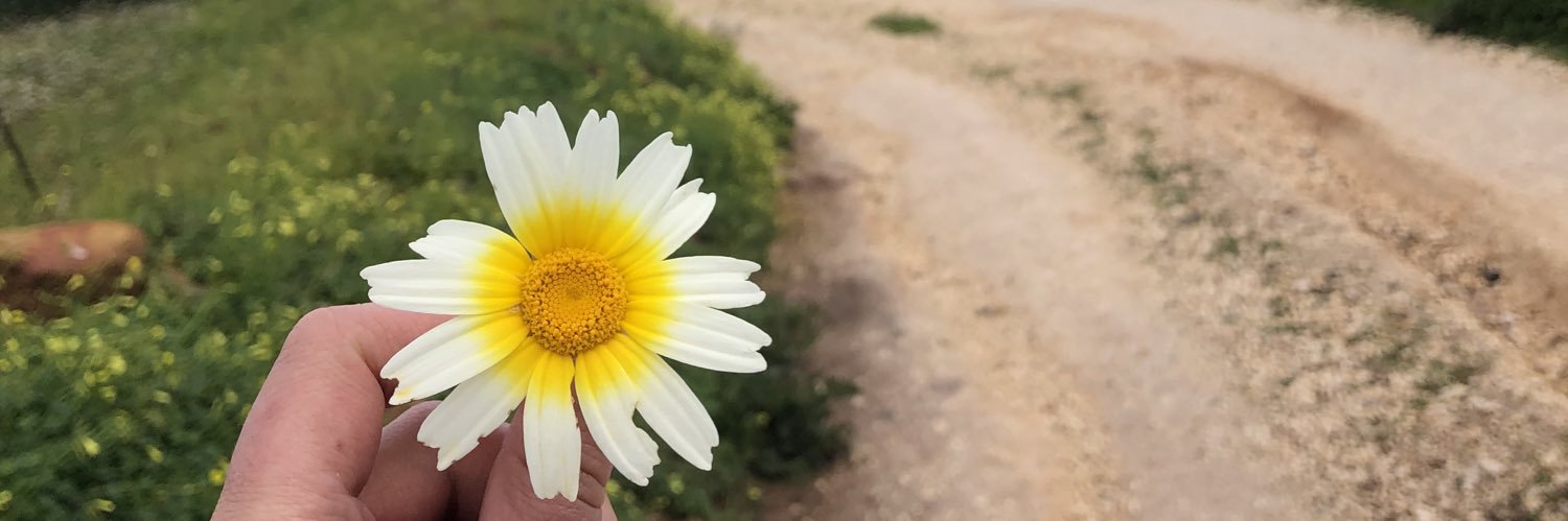 DaniGilbert01's profile banner image