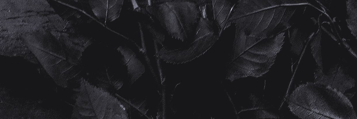 juniorobeng's profile banner image