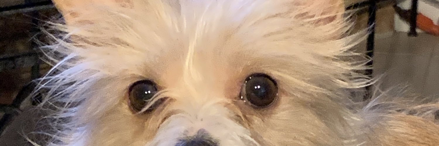 deelynnp's profile banner image